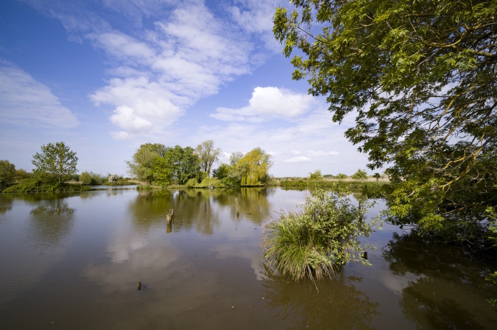 Marais & Réserve : visite du marais maraîcher et de la réserve naturelle des étangs du Romelaere.