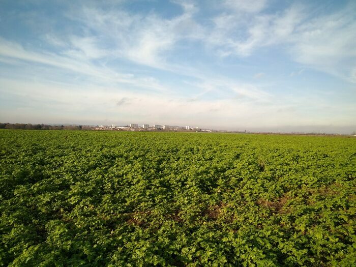 Sortie coorganisée par Île-de-France Nature