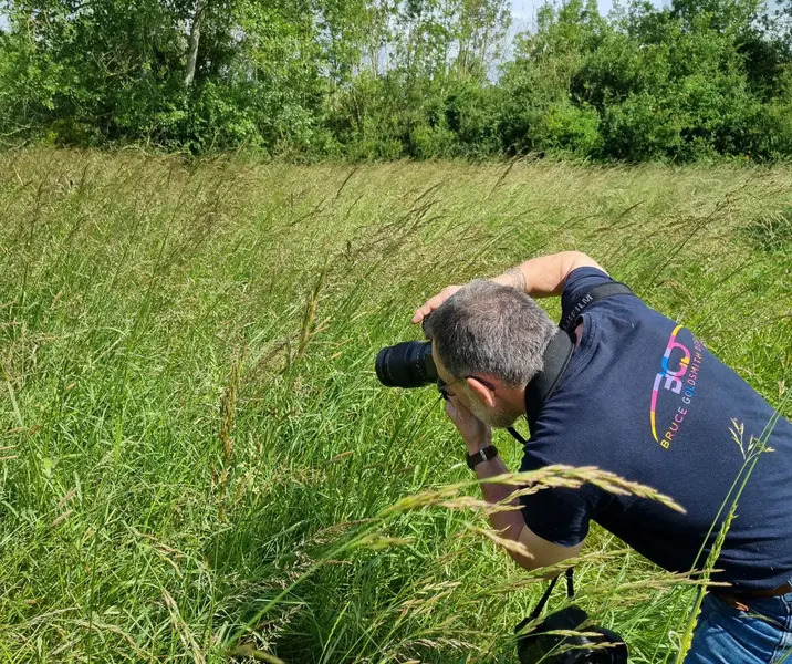 Photographie animalière aux Pâtis du Mesnil