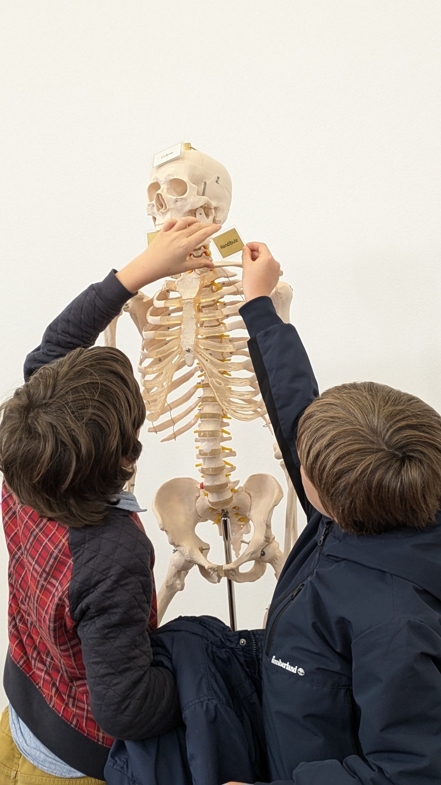Atelier faire parler les morts, l’archéo-anthropologie aux Archives de Nantes