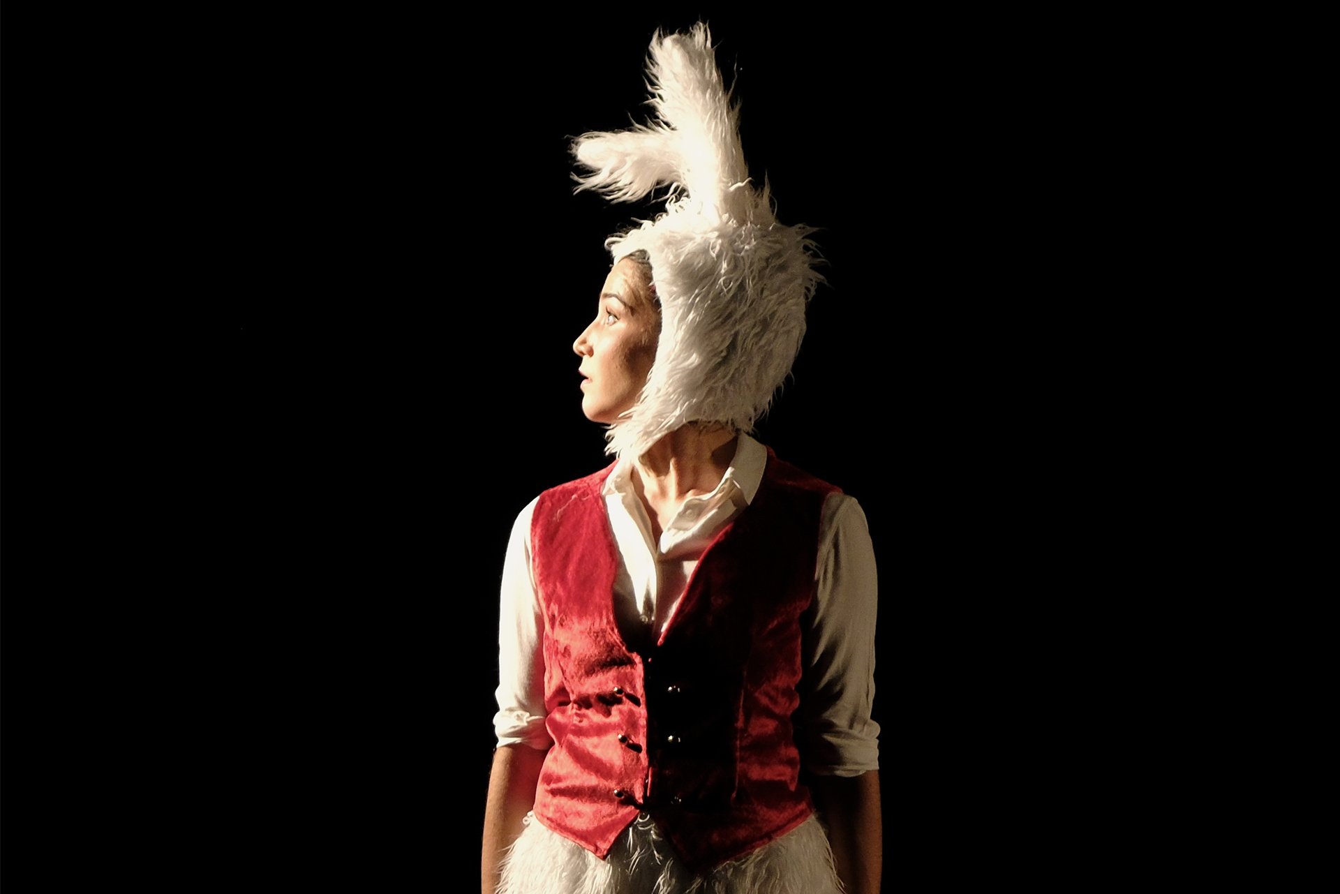 Alice au pays des merveilles