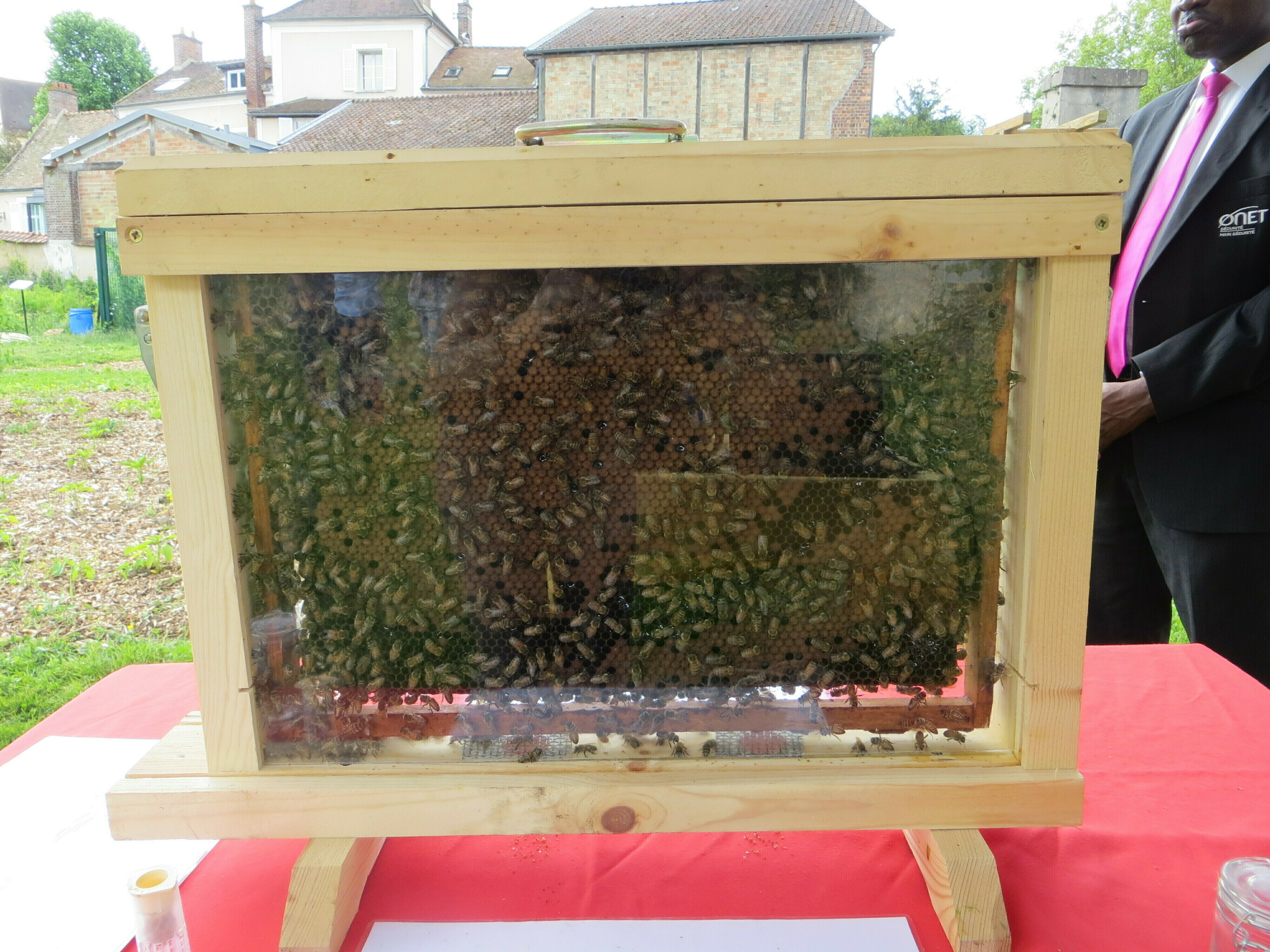 Exposition découverte de l'apiculture