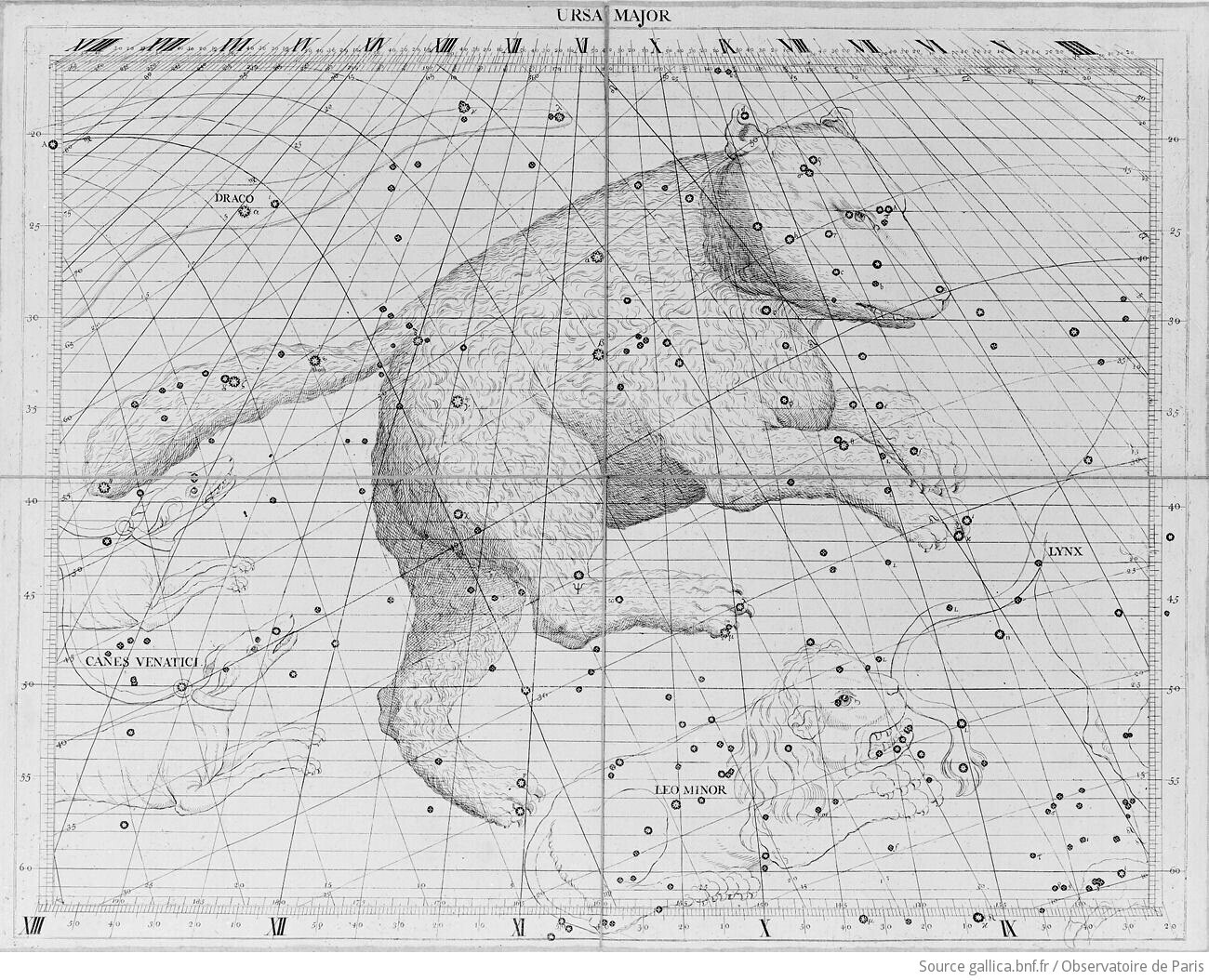 Ateliers autour de l’exposition « Nommer le vivant, dire le monde »