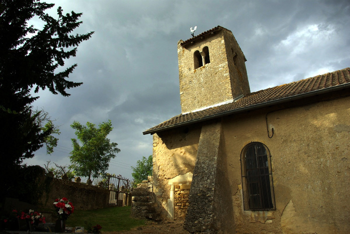 Visites guidées d'une église romane du XIIe siècle