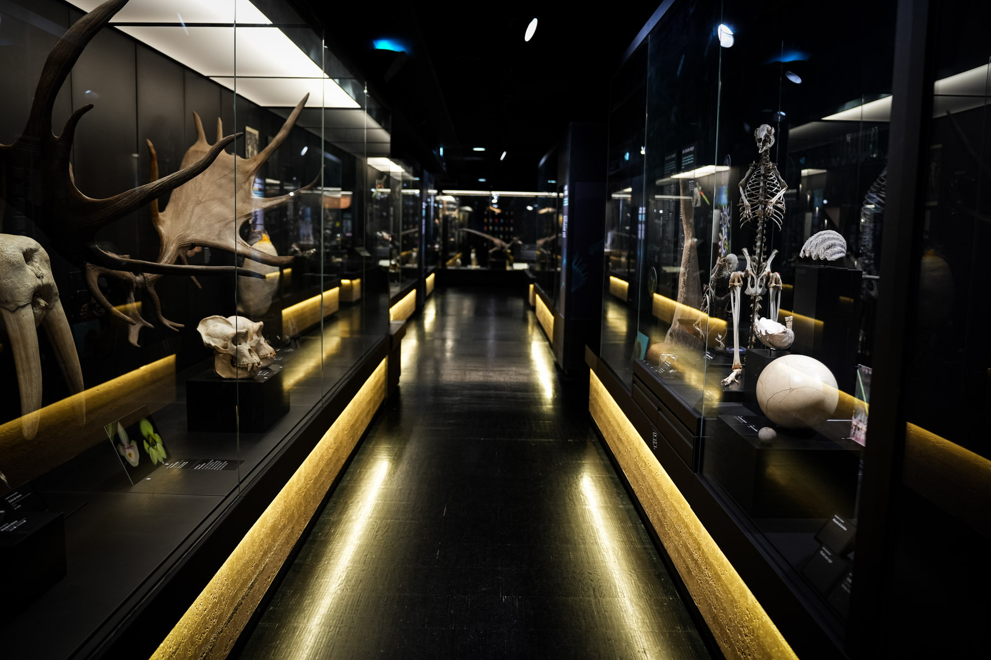 Visite gratuite du parcours