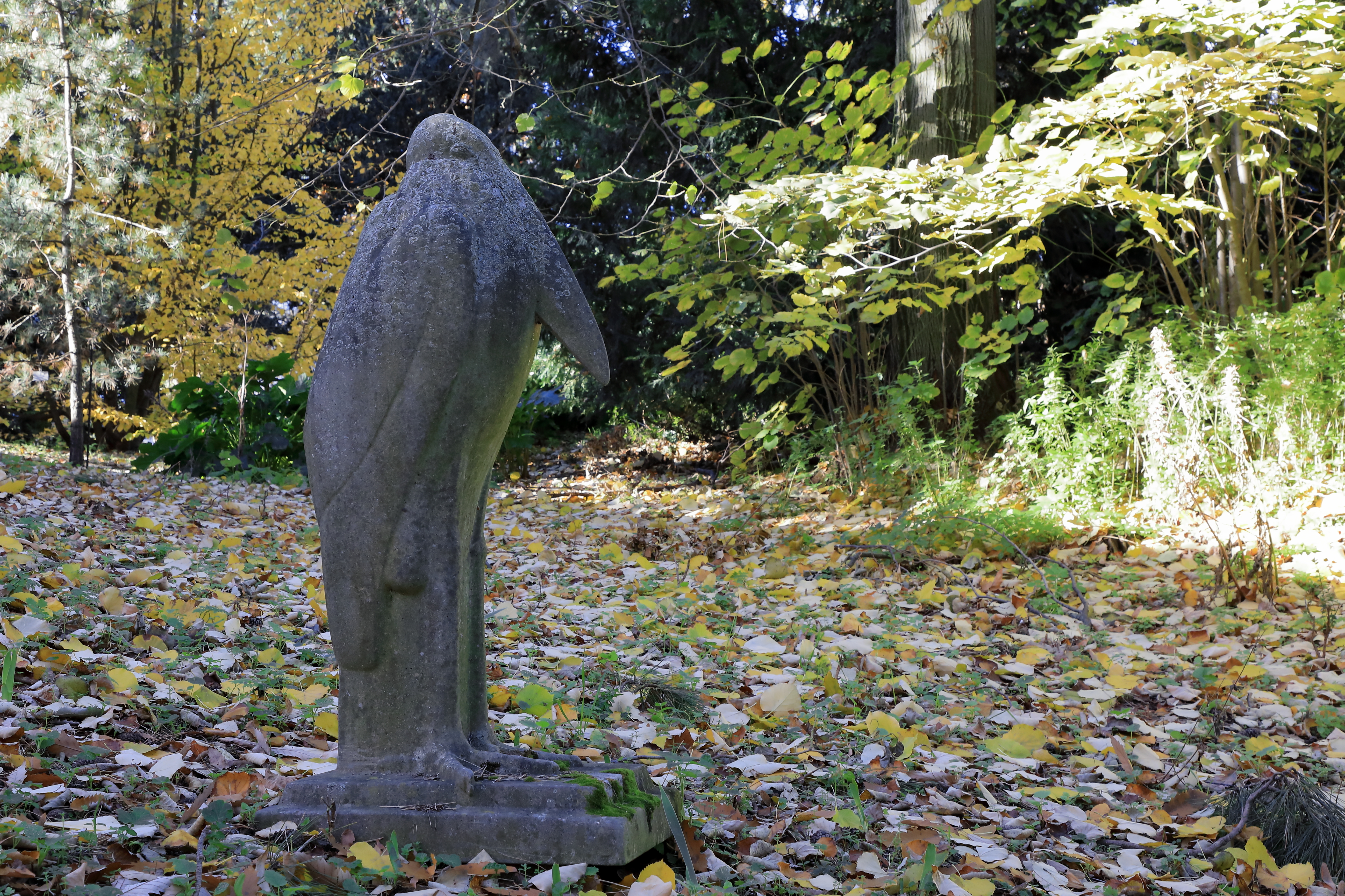 Jeu de piste numérique : "Apprentis sculpteurs et sculptrices au Jardin des Plantes"