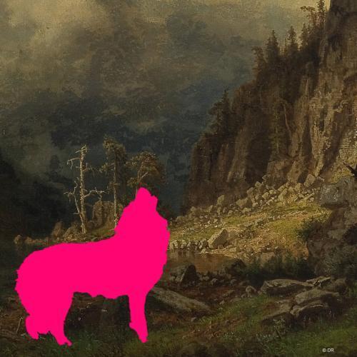 L'Appel de la forêt