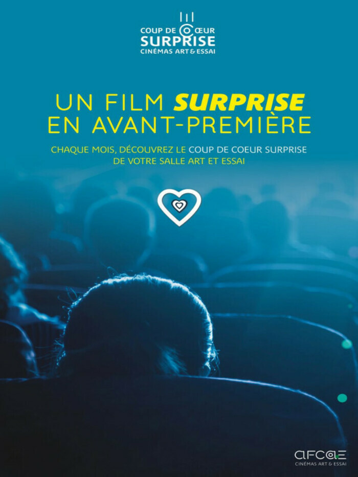 2025 01 COUP DE COEUR SURPRISE AFCAE 4