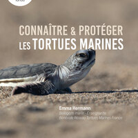 Connaître et protéger les tortues marines