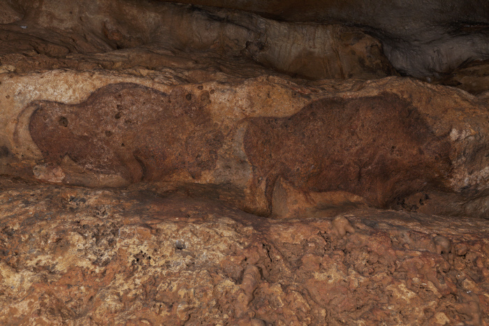 Visite guidée d'une grotte préhistorique ornée du Paléolithique