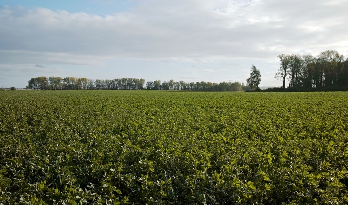 Quelle agriculture pour demain ?