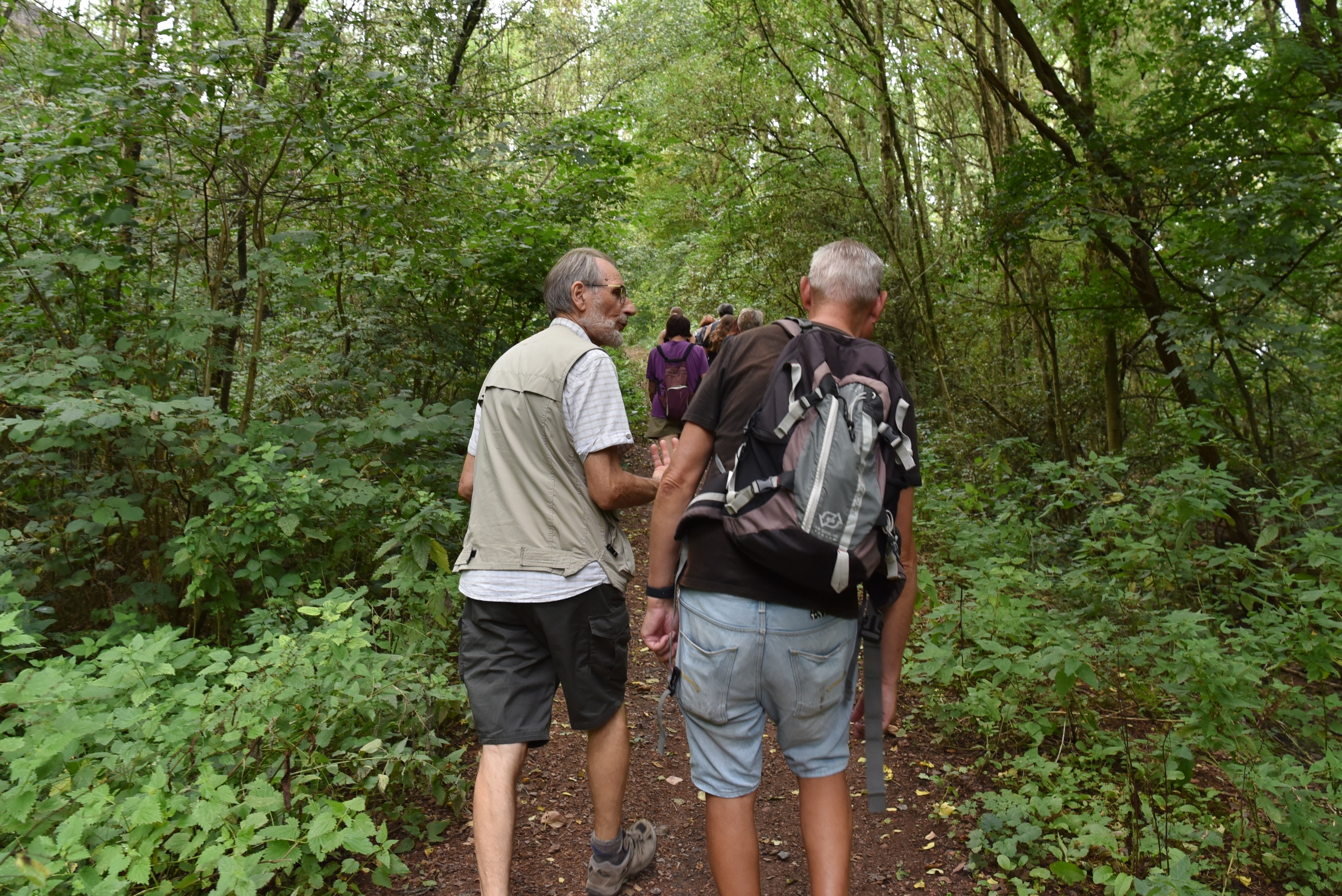 Découverte du Chemin de Compostelle à Carvin