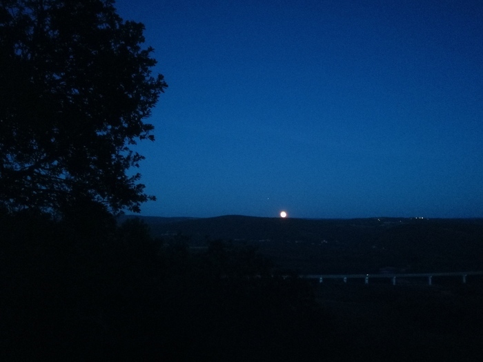 Un bivouac sans tente, pour passer une nuit dehors au milieu des arbres et des animaux divers, avec les étoiles derrière la cime des arbres.