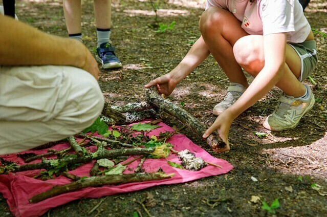 Détectives naturalistes