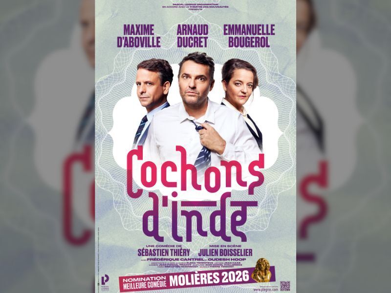 COCHONS D'INDE