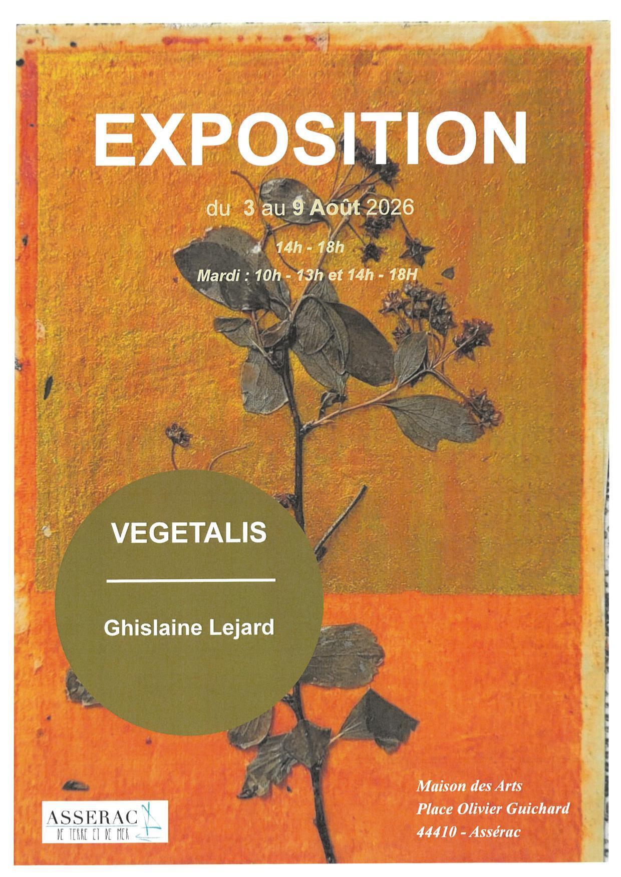 Exposition de peintures : Végétalis