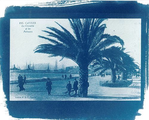 Atelier cyanotype : découverte et pratique d'une ancienne technique photographique