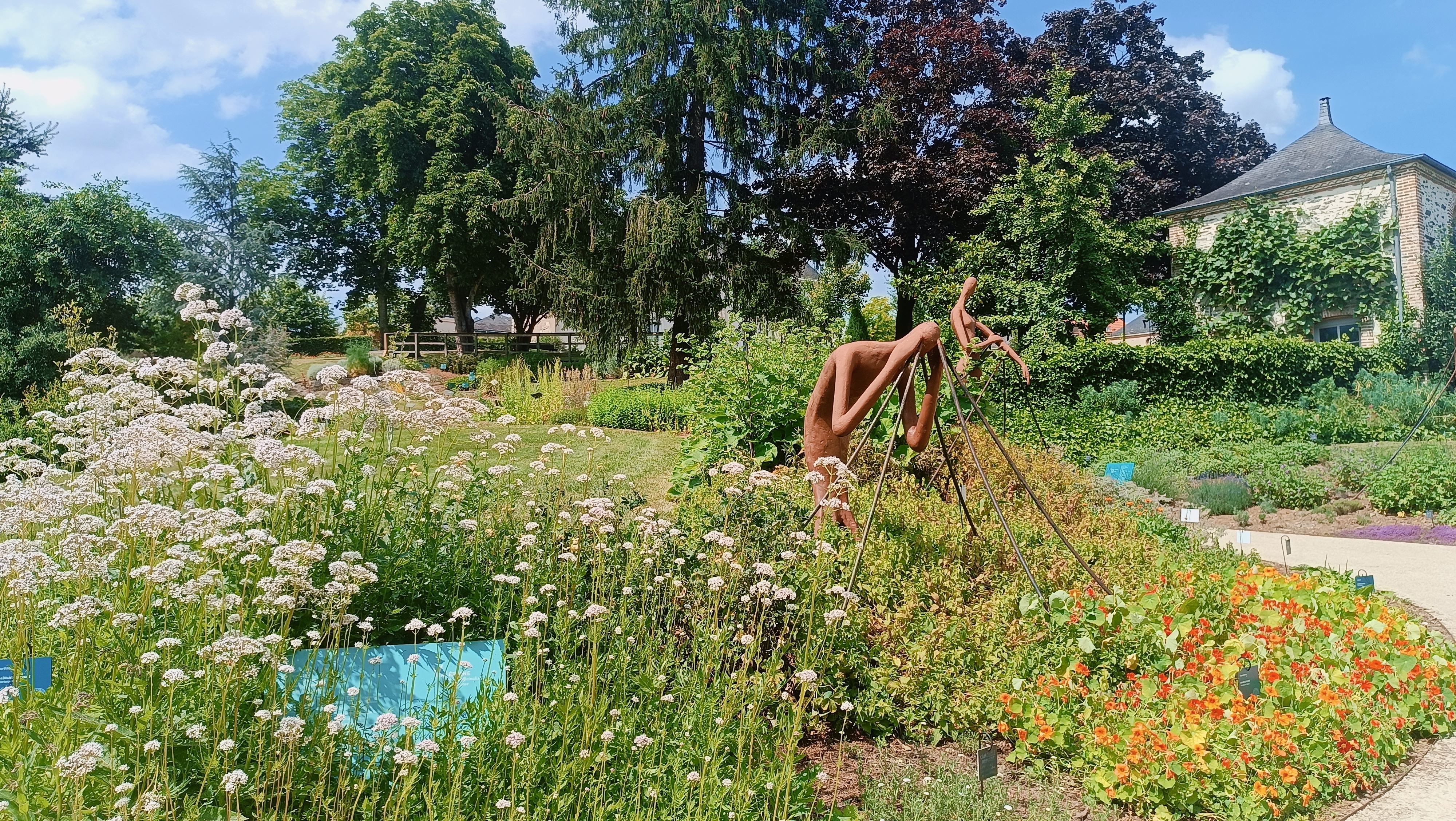 Visite libre au Jardin Camifolia
