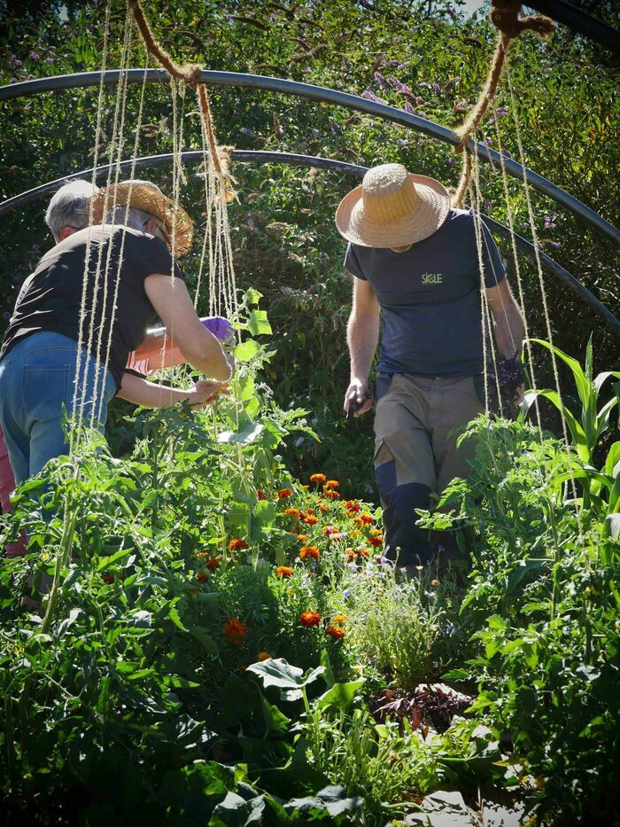 Construction bois au jardin : nichoirs et refuges à insectes