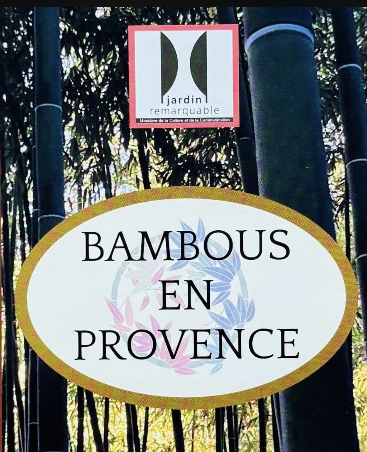 Bambous en Provence-À la découverte d’un jardin remarquable