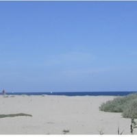 Balade à la découverte des Oiseaux