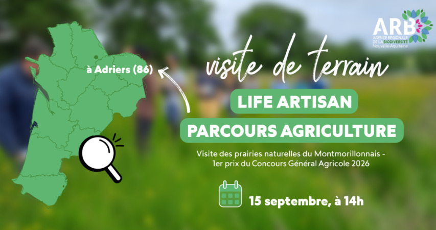 Visite de terrain Life Artisan - le 15/09 à Adriers (près de Montmorillon).