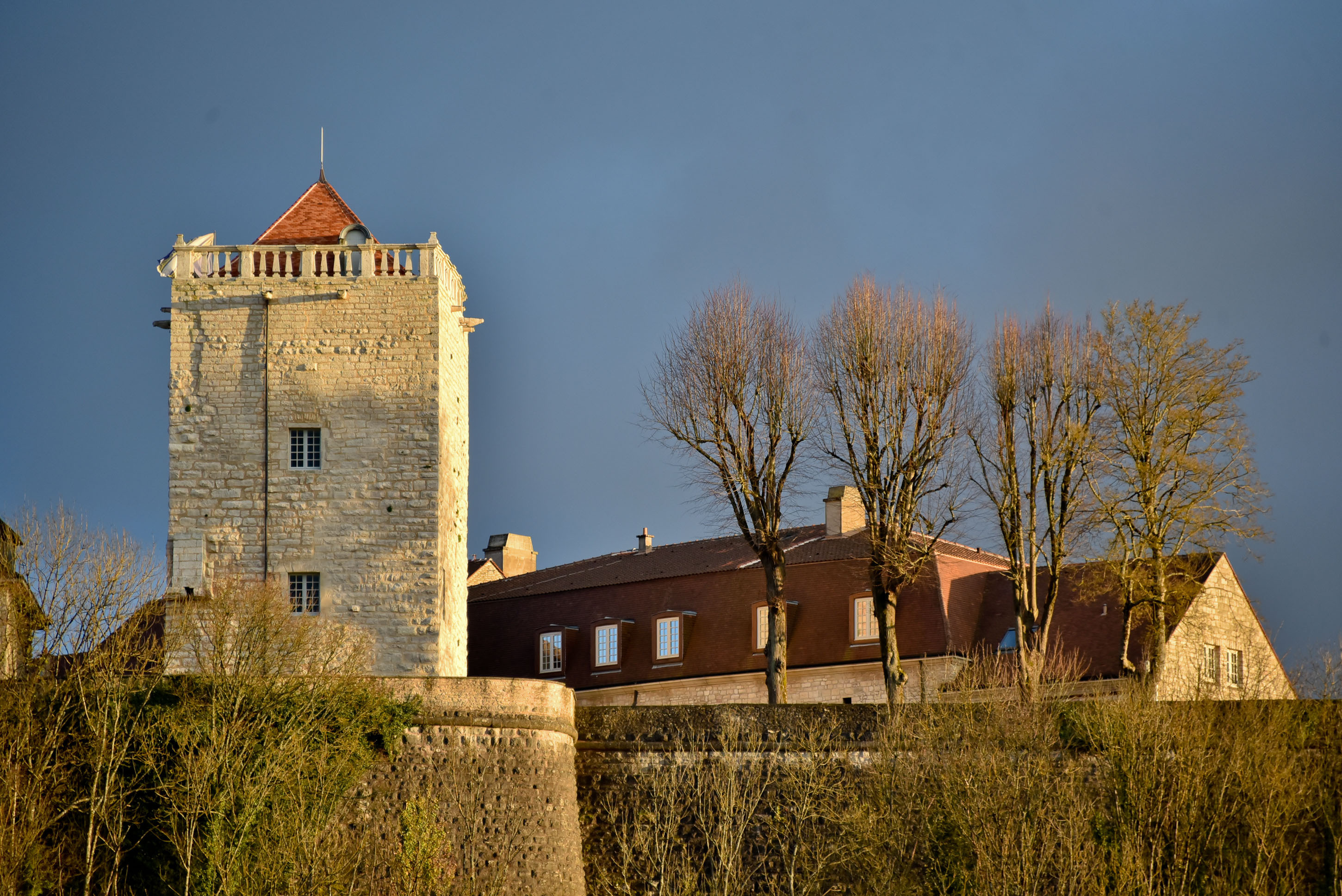 Visite guidée du donjon des Comtes de Champagne à Chaumont