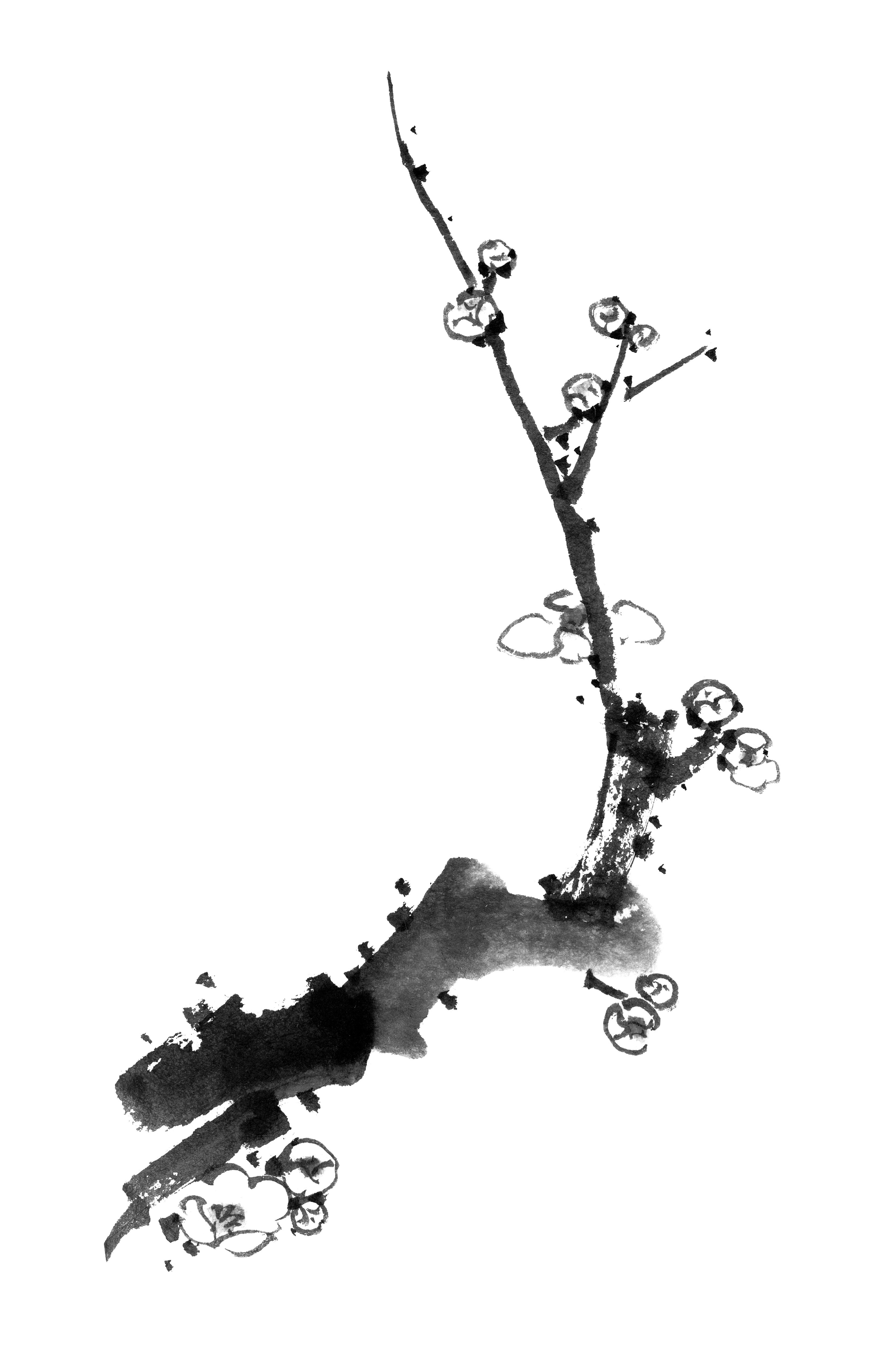 Expo-Vente : Thierry Buisson - Encre de Chine