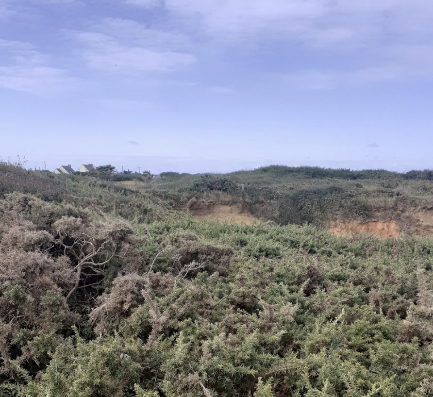Les landes de Pen Bé