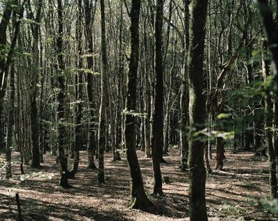 Exposition « Sur les pas de d’Arthur Batut » Nicolas Fremiot