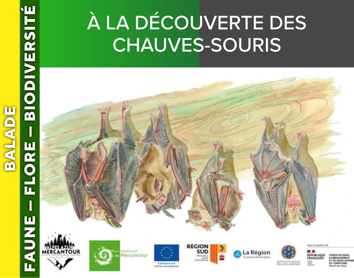 ALPES AZUR MERCANTOUR - À la découverte des chauves-souris