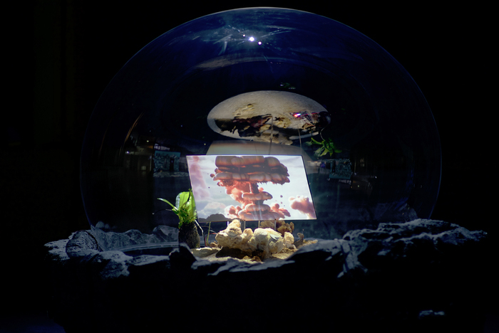 Exposition du 15 janvier au 22 février 2026 Théâtre Nanterre-Amandiers