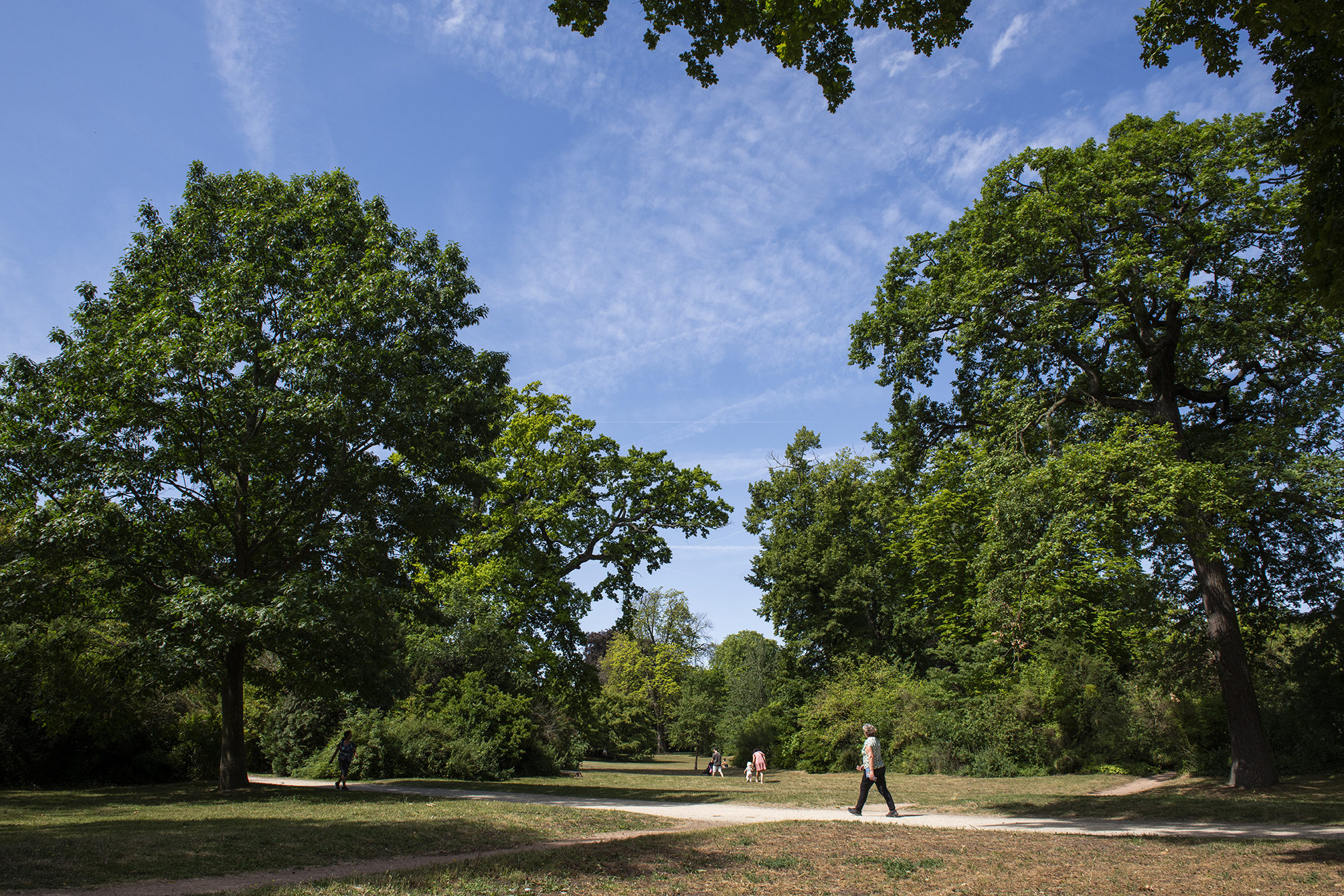 Visite guidée : Promenons-nous aux jardins