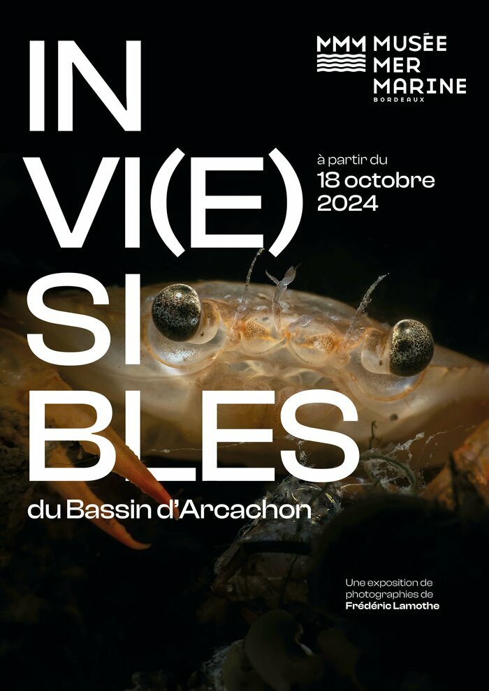 Exposition "Invi(e)sibles du bassin d'Arcachon"