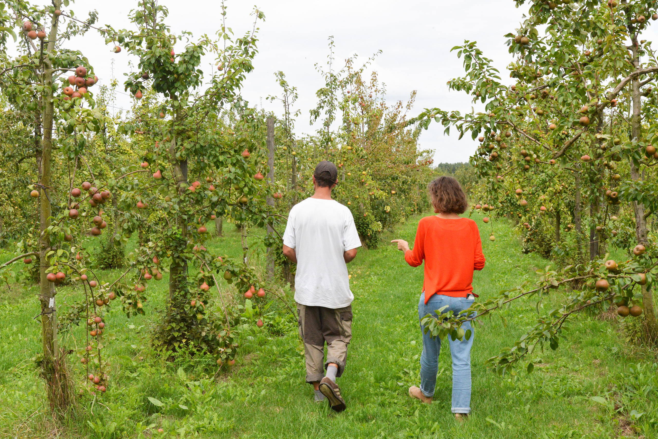 Visite guidée des Espaces naturels régionaux