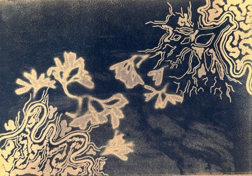Atelier cyanotype