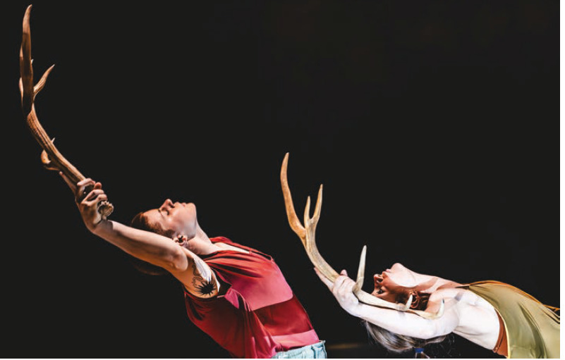 Visites performées : Mue
