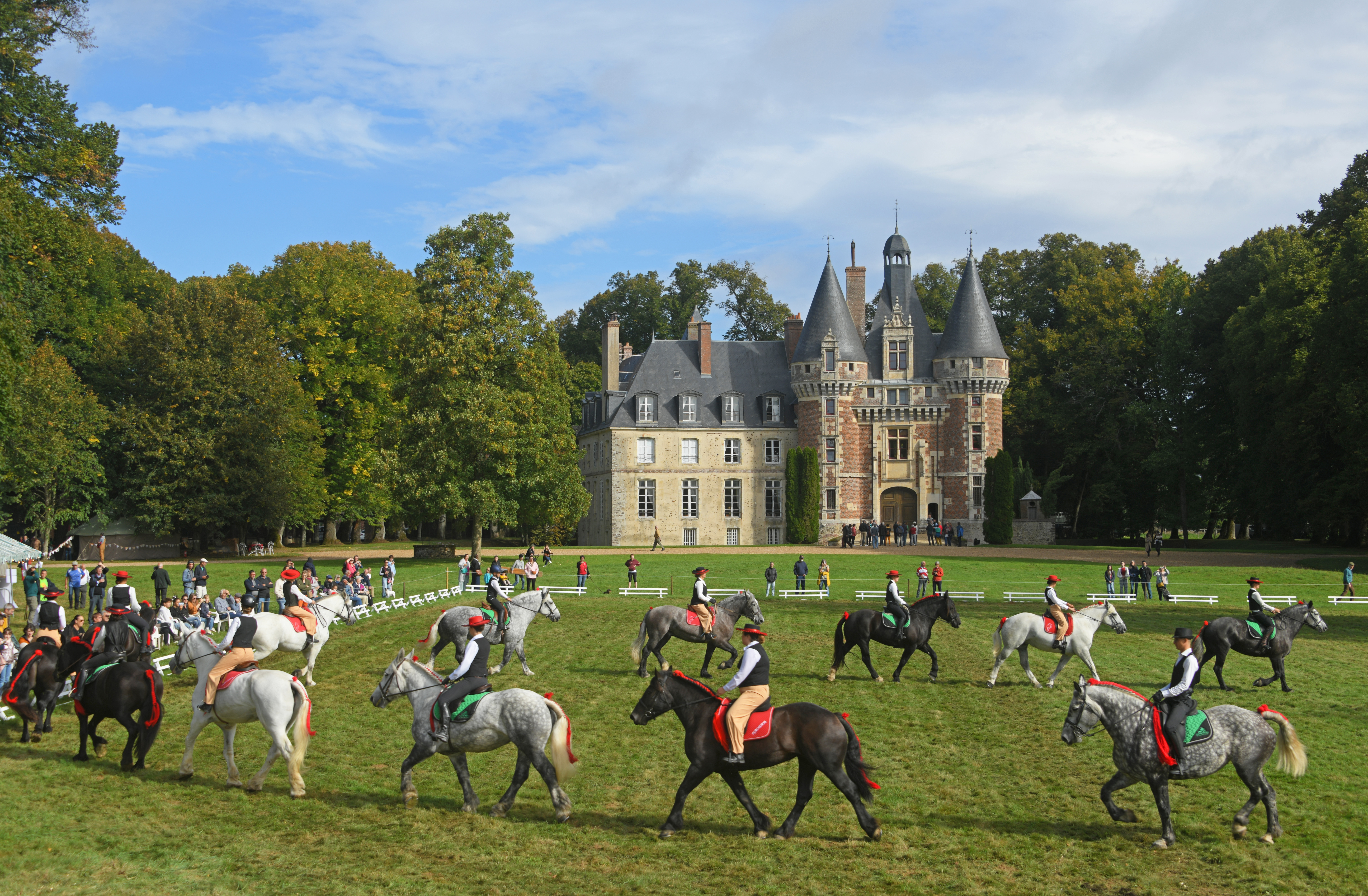 Les traits du Perche au château de Saint-Agil , visite du château , valorisation du cheval percheron, démonstrations, exposants, spectacle
