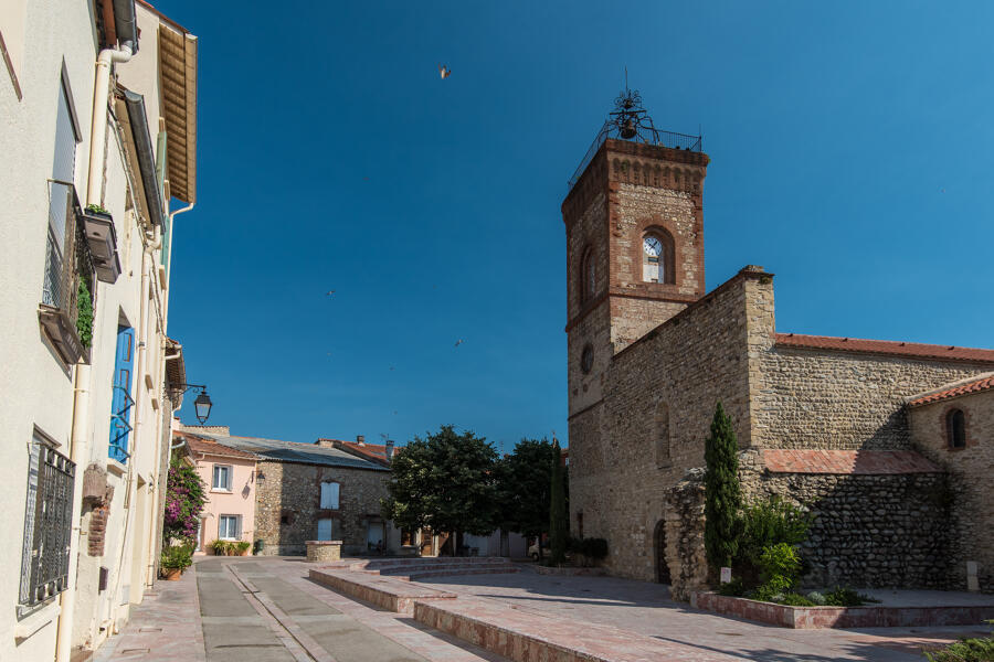 Visite guidée de Palau del Vidre "Histoire d'un terroir catalan"