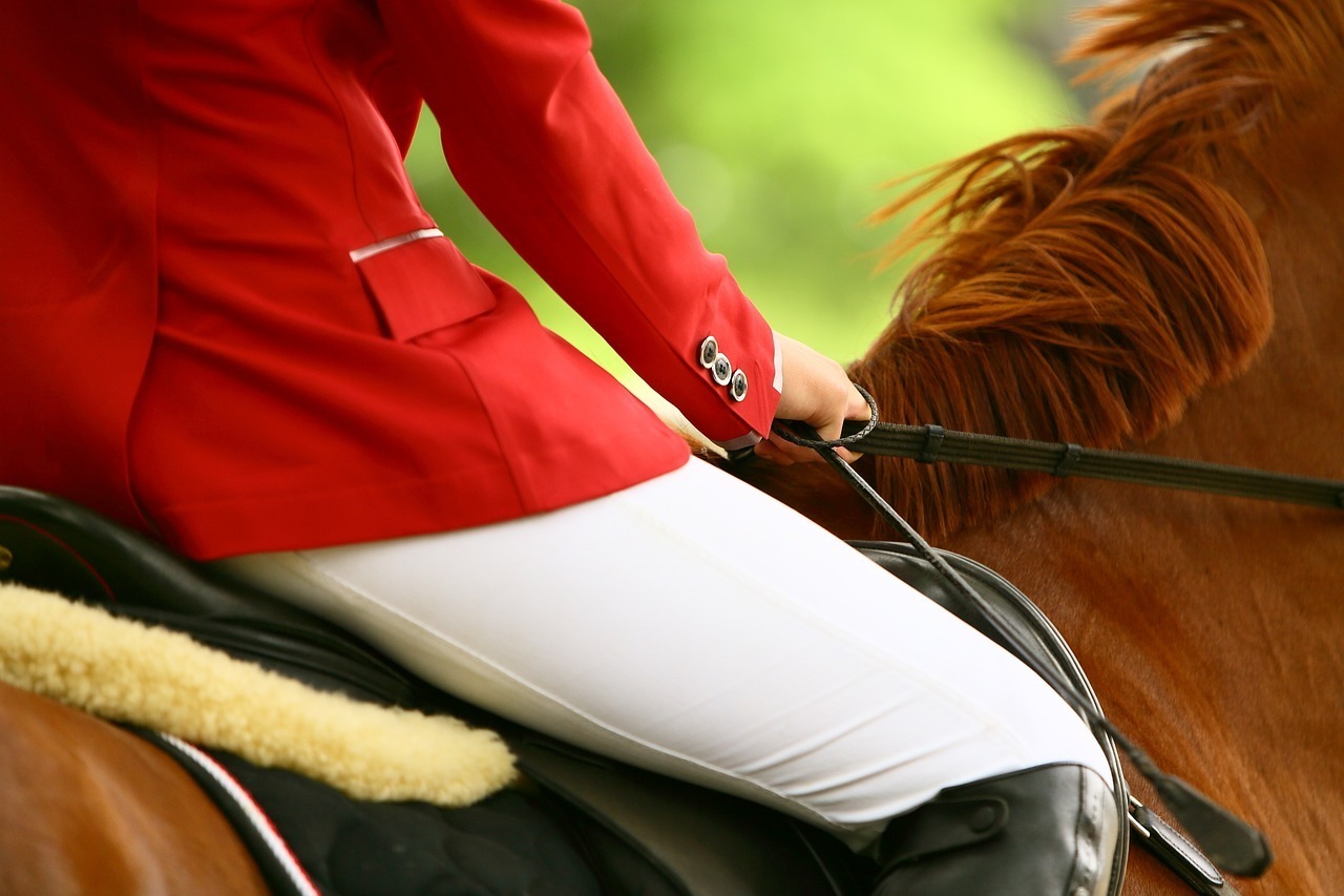 Stage - Équitation