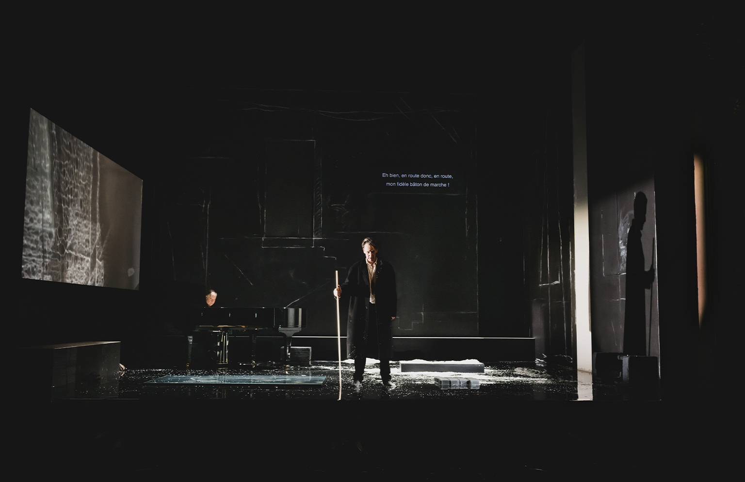 Spectacle d'opéra « Le Voyage d’hiver » au TNP