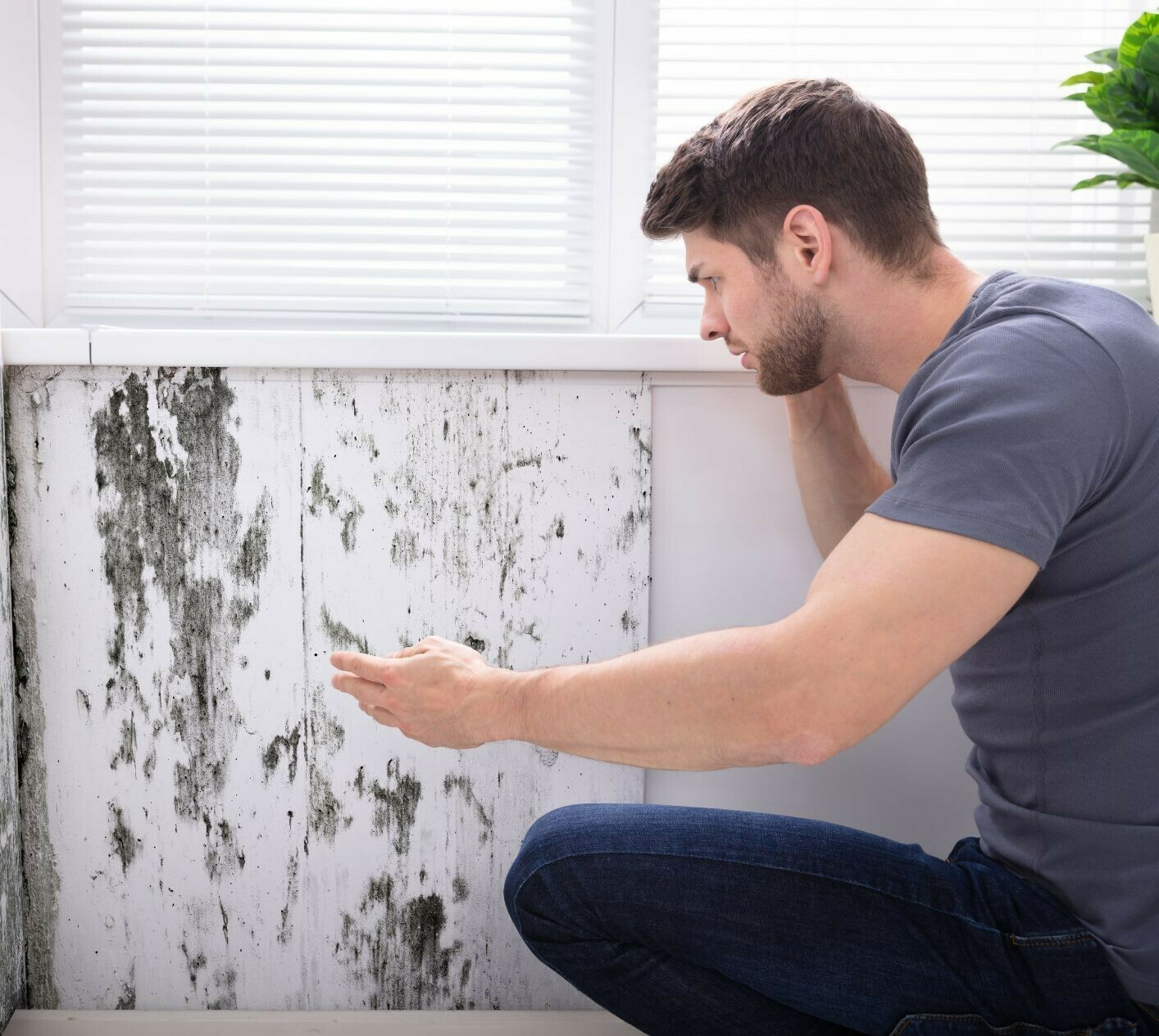 Votre logement est insalubre ?