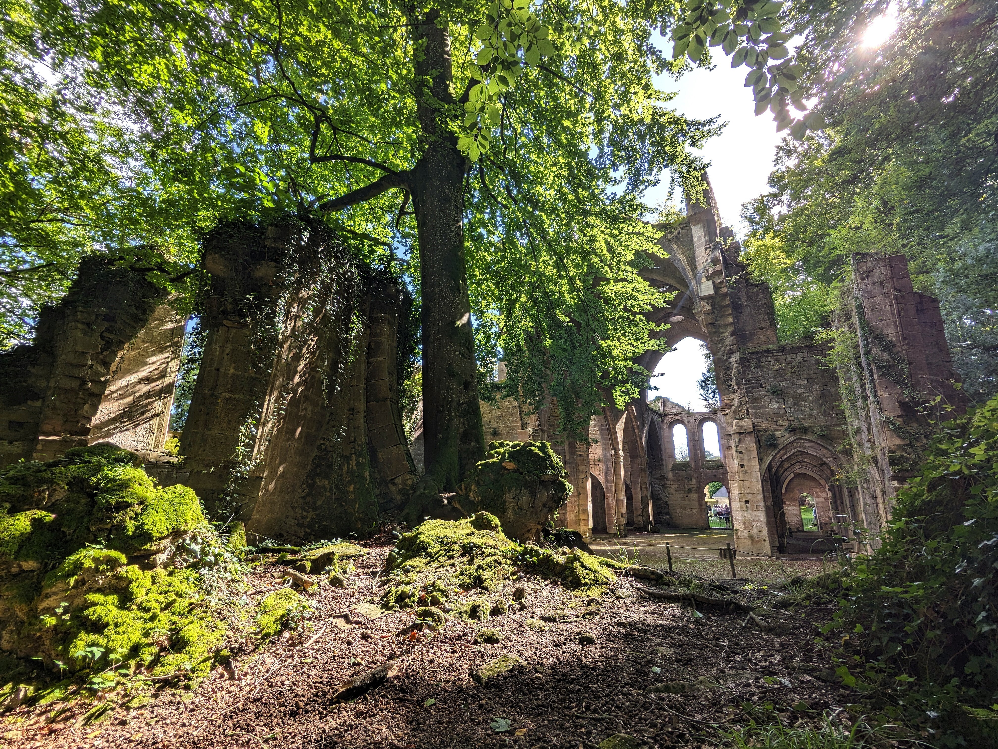 Journées du Patrimoine - Découverte de l'Abbaye de Trois-Fontaines