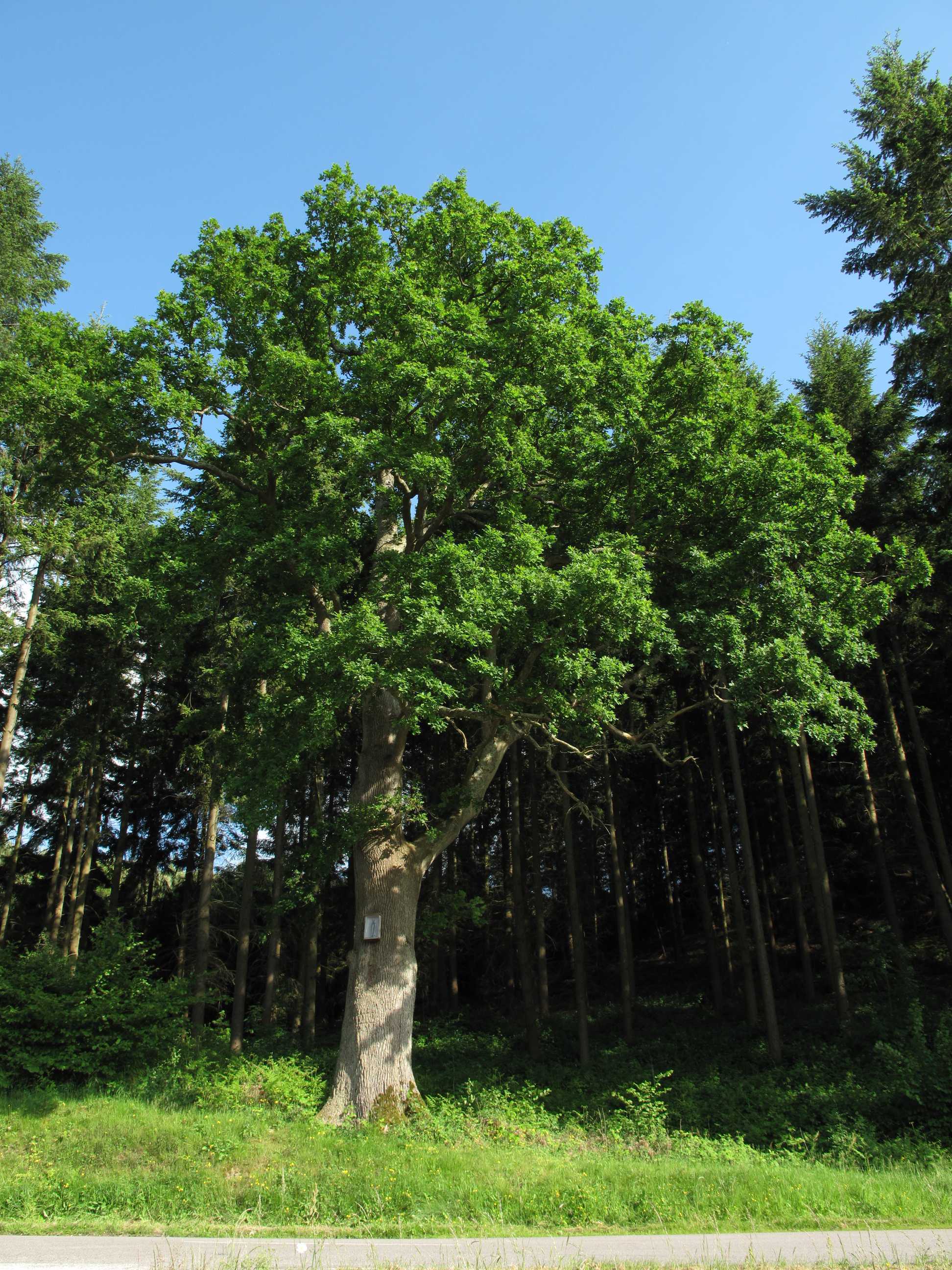 Vernissage de l'exposition de photographies sur le patrimoine naturel