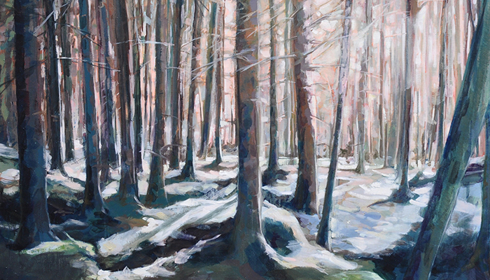 Exposition "Forêts"