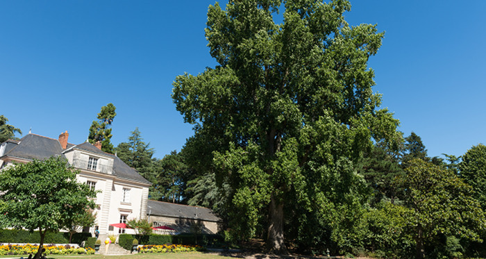 Labellisation du 1000e arbre remarquable de France au Parc de Procé