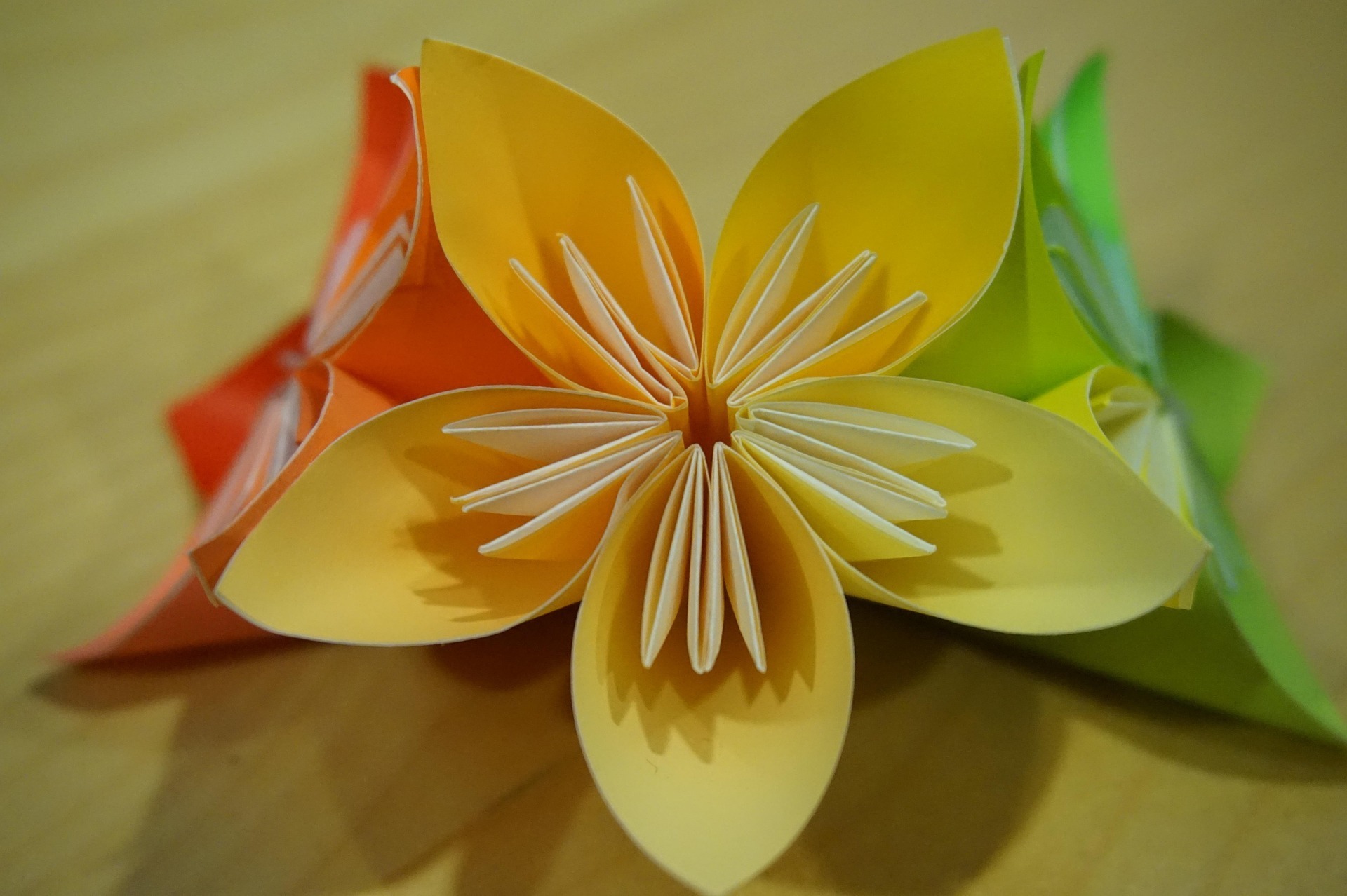Atelier créatif : origamis végétaux