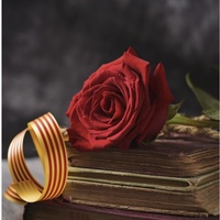 La Sant Jordi - La Rose dans tous ses jardins