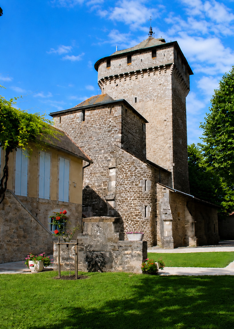 Visite commentée : prenez de la hauteur à l'église Sainte-Croix