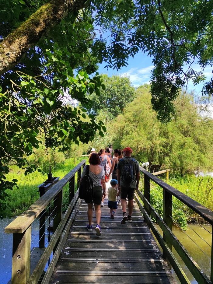Visite guidée du Marais aux Oiseaux